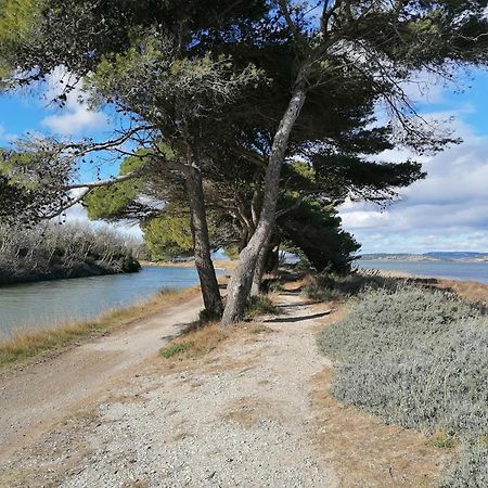 Entre Mer Et Roseaux - Piscine - Proche Centre Et Mer - Petfriendly Port-la-Nouvelle Eksteriør billede